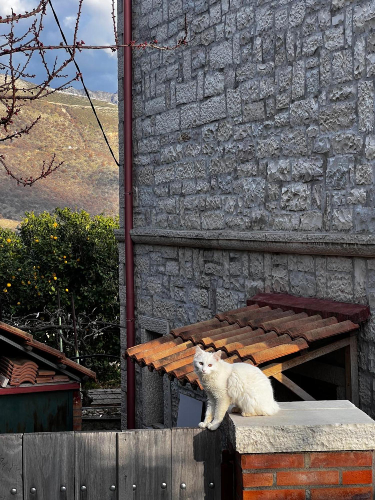 Annapolis Hotel Himara Kültér fotó